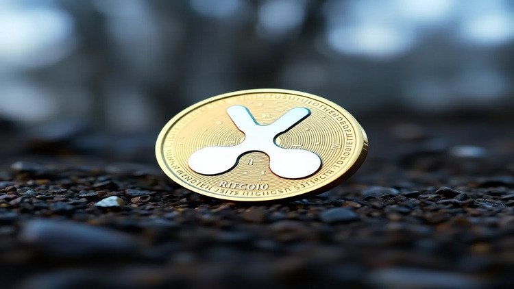 Top Ripple (XRP) Price Predictions as of Late November 2024